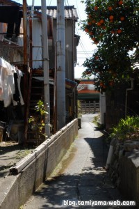 みかんが妙に鮮やか。